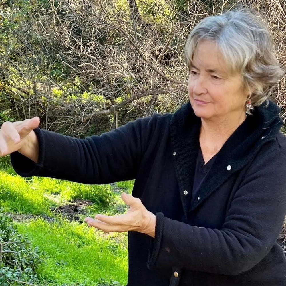 Teaching Introduction to Qigong at the Fallbrook Wellness Center