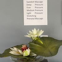 Gallery Photo of My experienced 6 years done for been massage therapist.