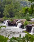 Photo of Carolyn B Custer, Acupuncturist in Brookfield, WI