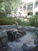 Gallery Photo of One of the beautiful waterfalls in our center courtyard