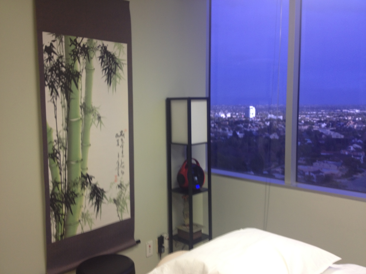 John Barrett, Acupuncturist, Los Angeles, CA, 90067