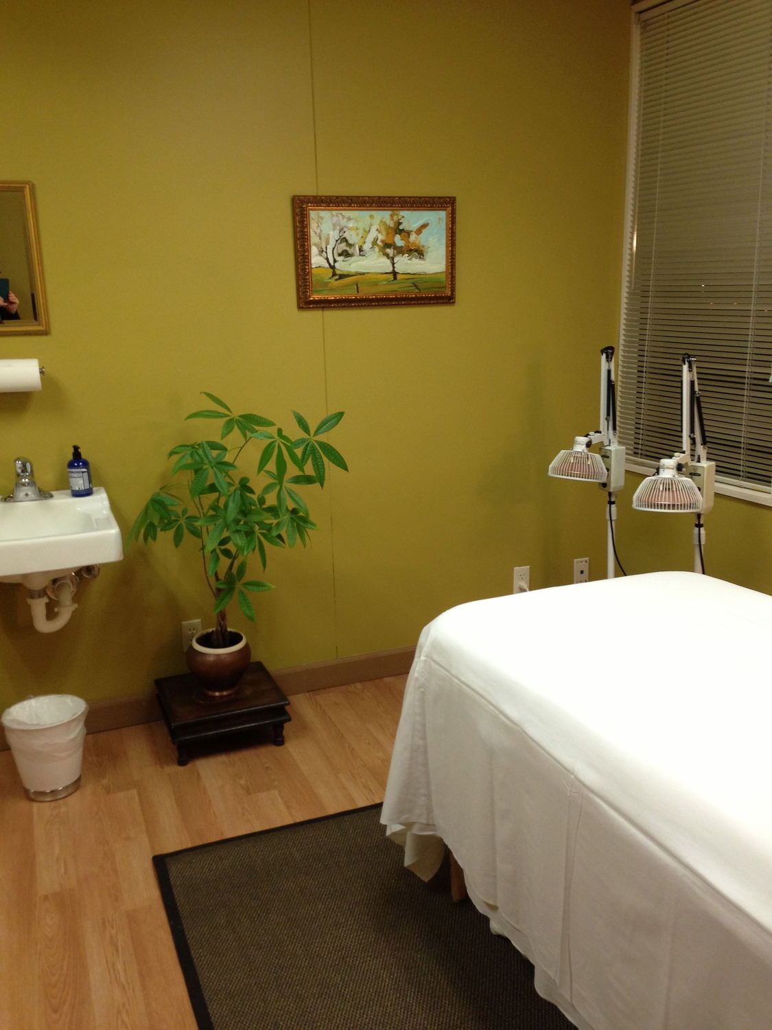 Anita Teigen, Acupuncturist, Roseville, MN, 55113