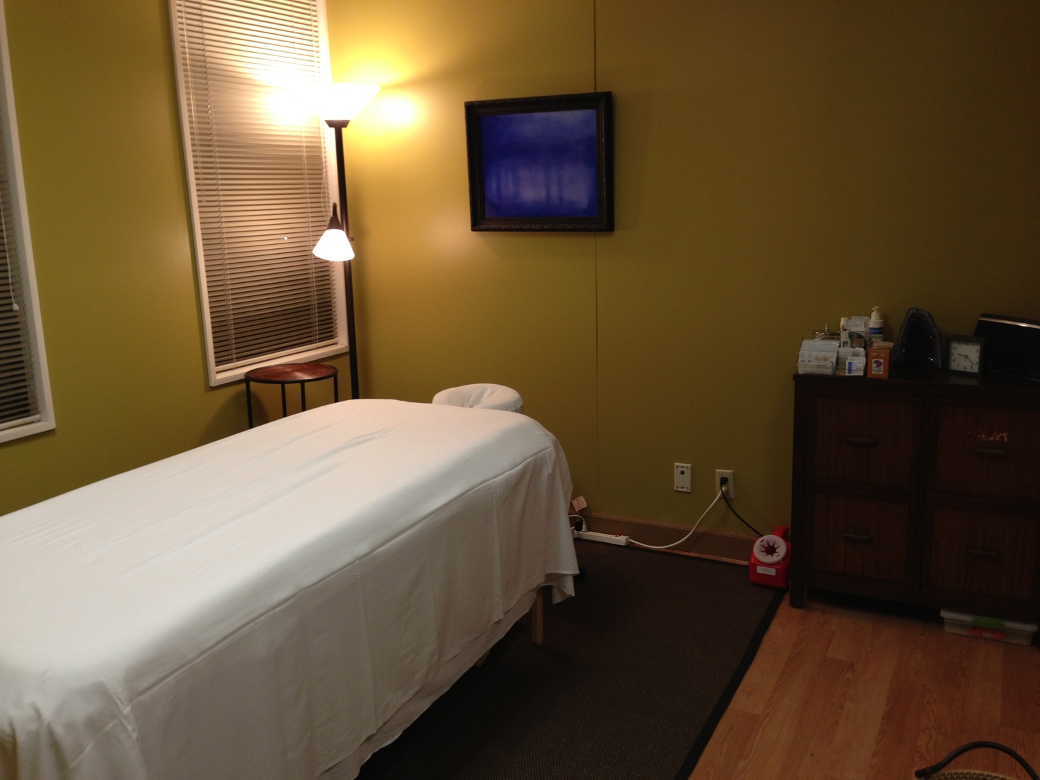 Anita Teigen, Acupuncturist, Roseville, MN, 55113