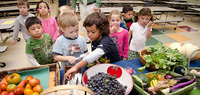 Gallery Photo of Helping Kids Make Healthy Food Choices