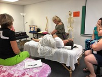 Gallery Photo of Demonstrating to students how to remove chronic inflammation from lower body.