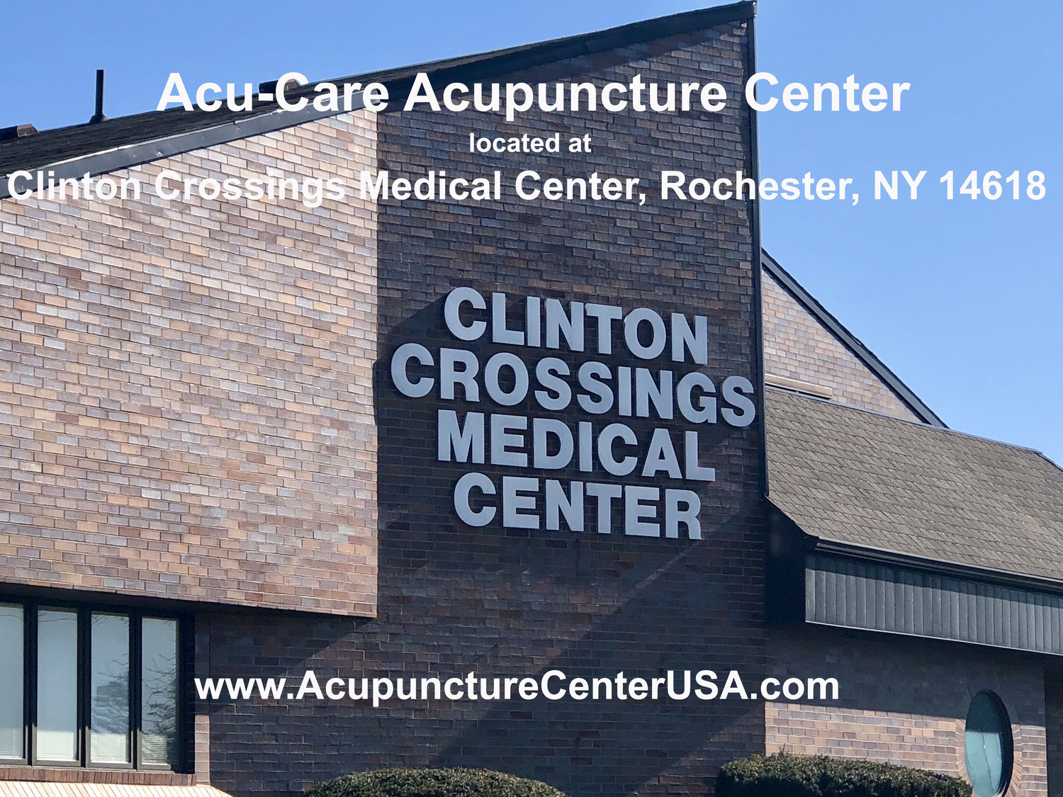 Acupuncture Center USA Acu Care Acupuncture Ctr. Acupuncturist