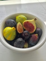 Gallery Photo of Figs, rich in fiber, potassium, iron, magnesium, vitamins A, B1 and B2.