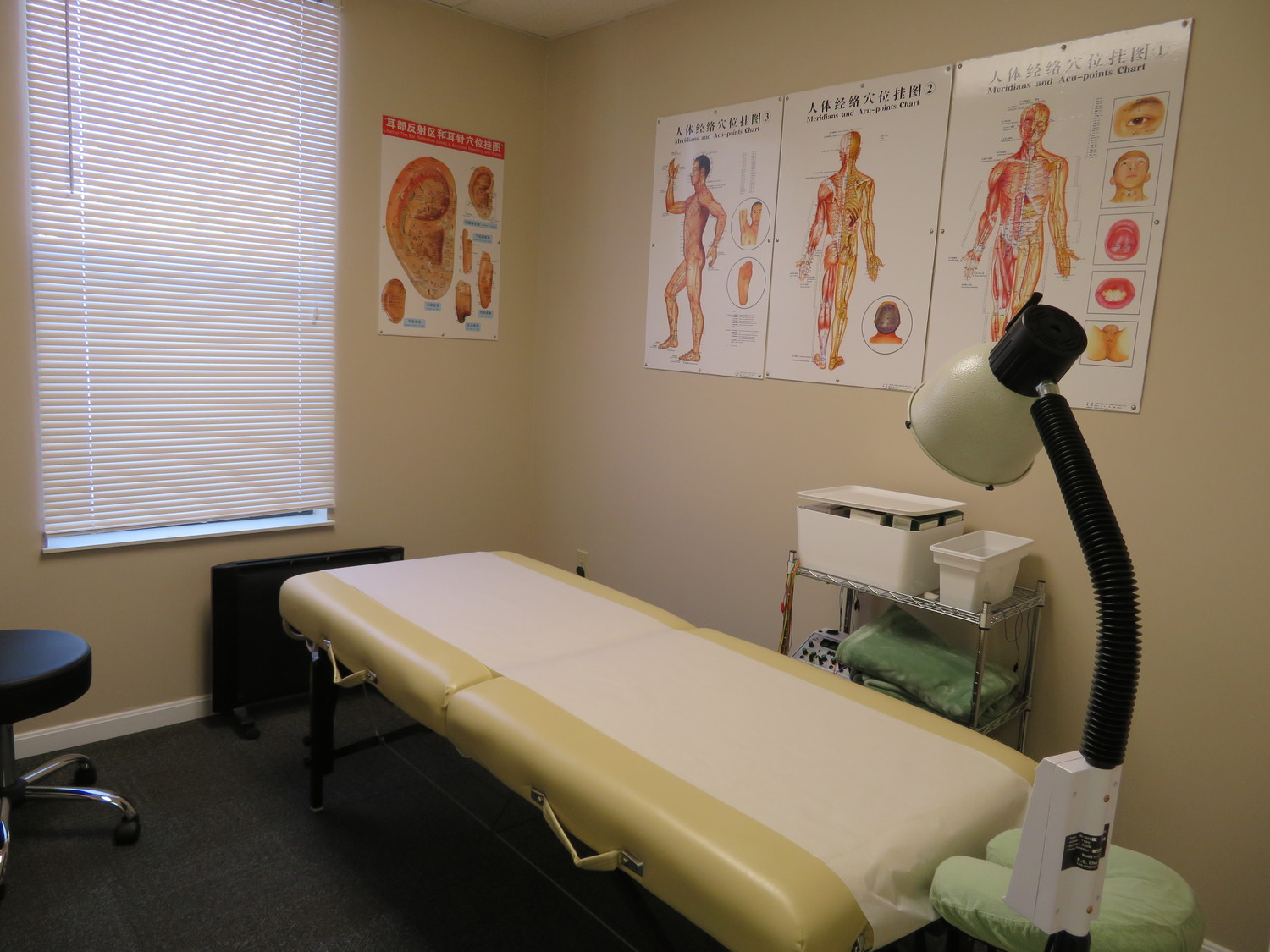 Acupuncture Health Alliance LLC, Acupuncturist, West Chester, OH, 45069