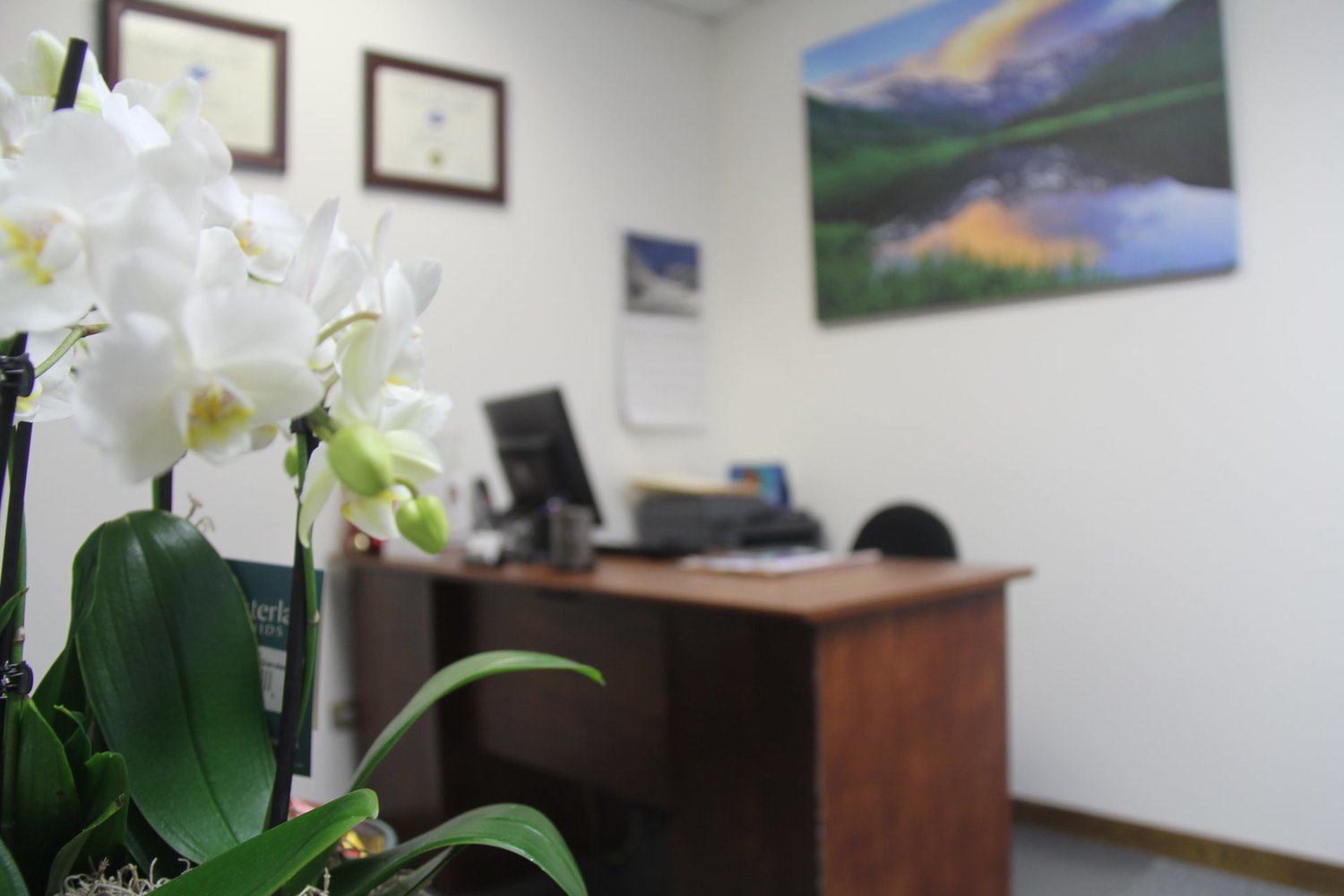 Shuhong Hua, Acupuncturist, Golden, CO, 80401