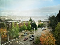 Gallery Photo of View from our treatment room on a beautiful Fall day in Seattle.