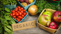 Gallery Photo of Choosing organic avoids potential toxic chemicals. This is very important for kids on the spectrum!