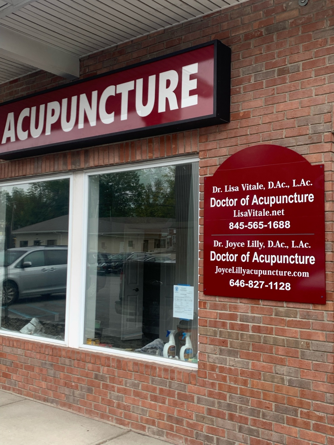 Dr. Lisa Vitale, DAc, LAc, Acupuncturist, Newburgh, NY, 12550